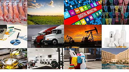 A picture with multiple types of business ideas like cleaning, accounting, halal shops, trucking, hotels etc.